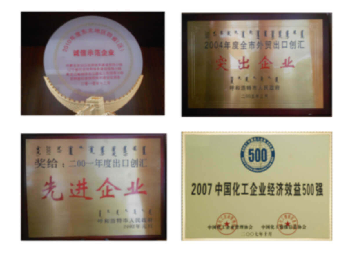 Inner Mongolia IHJUCHEM Industrial Co., Ltd.
