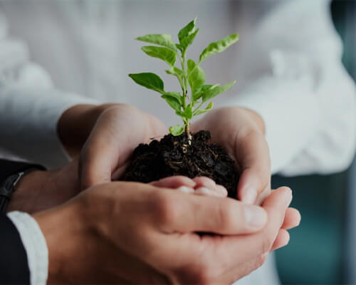 Inner Mongolia IHJUCHEM Industrial Co., Ltd.